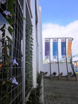 Vista frontal